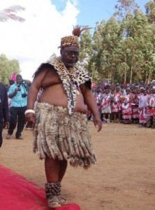 inkonsi-gomani-mbelwa-IV