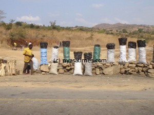 charcoal seller: A ventor illegally sells bags of charcoal on the side of the road. Photo: Scott Gregory Photography (flickr)