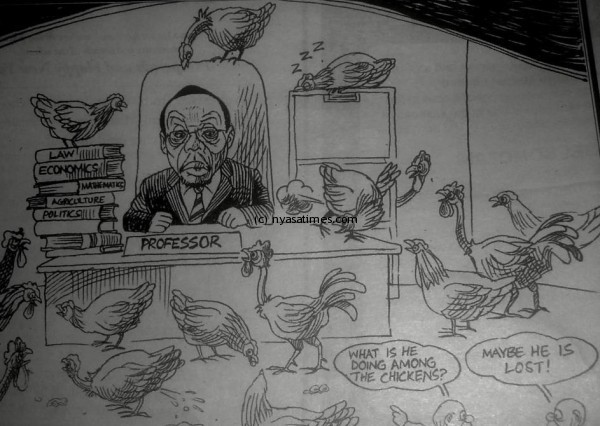 chicken cartoon