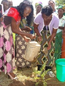 Malawi beauty queen Susan Mtegha after planting a tree
