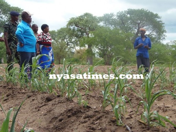 A farmer briefing the minister on his maize field in Neno..Photo Jeromy Kadewere.