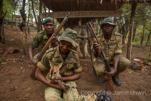 Anti poaching unit in Malawi