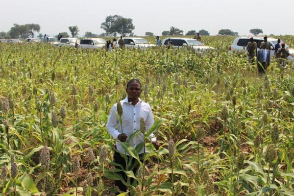 Bushiri in the maize field with South Sudan government escort