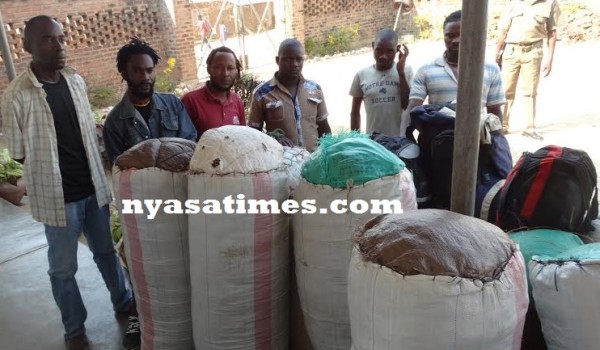 Chamba peddlers in Nkhotakota with their bags containing the 'golden leaf'