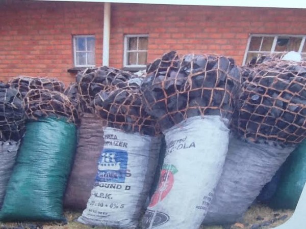 Charcoal licence for commercial purposes granted to Kawandama