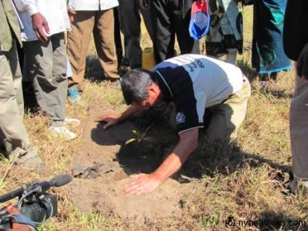 Davie George father to Neil planting a tree in Mposa Machinga district during the launch of week long Awareness week 