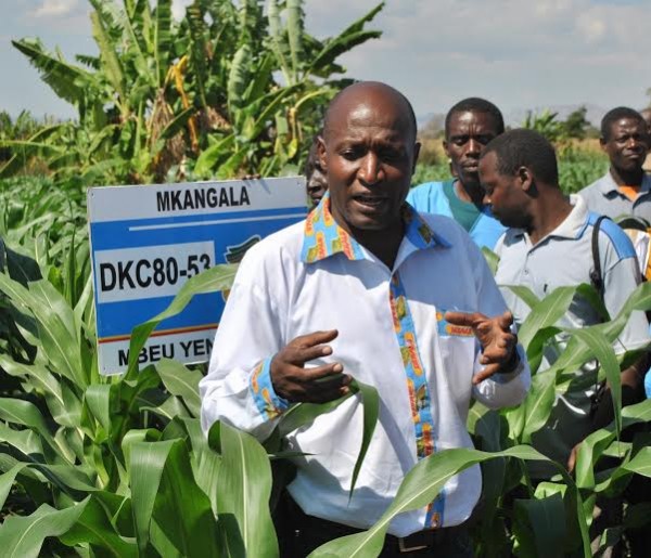 Dennis Kachikho from Monsanto in the field ... Photo Jeromy Kadewere.