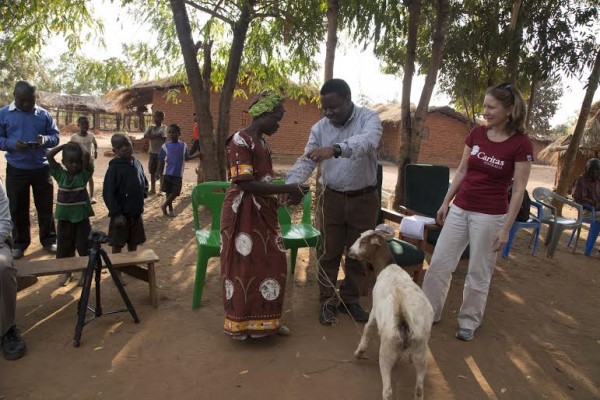 ECM Secretary General (C) hands over a goat to a farmers (L) as Jamie (R) looks on-Picture by Prince Henderson