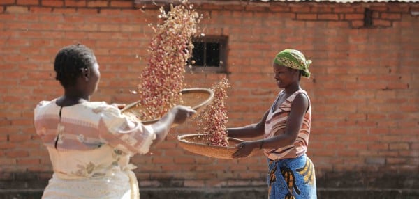 Female farmers Clean Soya