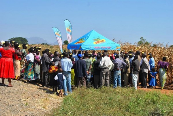 Field visit in progress...Photo Jeromy Kadewere