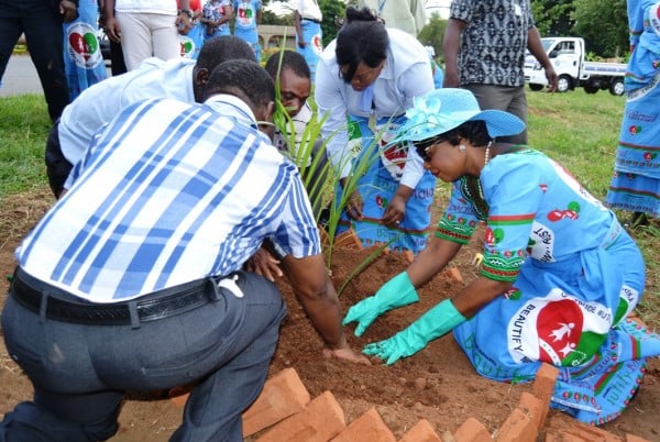 First Lady, Madame Gertrude Mutharika, plants her Royal Palm Tree at Kamuzu Palace in Lilongwe-(c) Abel Ikiloni, Mana