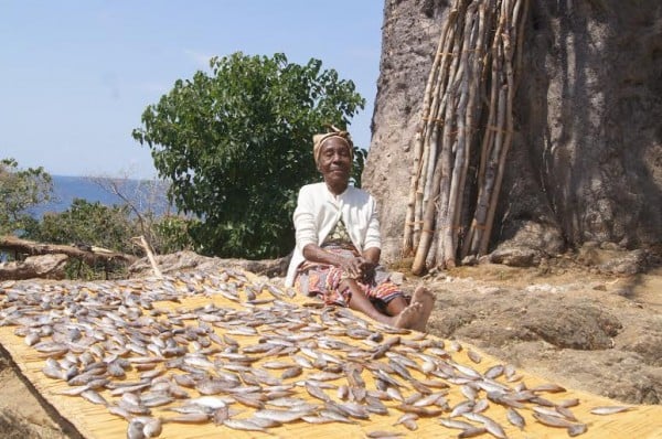 Malawian lady laying out fish for drying in the sun -Fish conservation. Photo credit Nikki Luxford