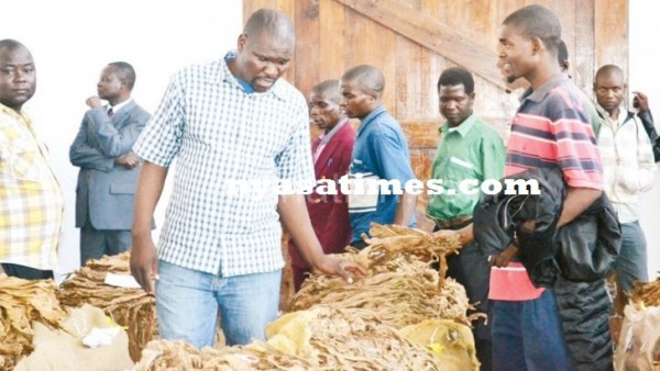  Mzuzu tobacco auction floors