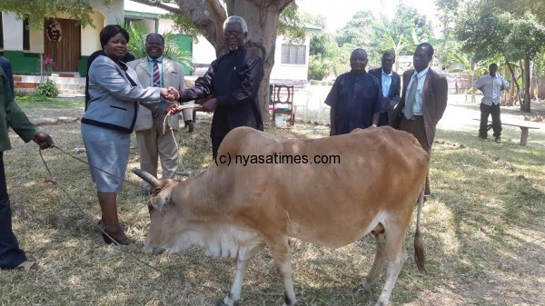 Karonga DC giving a cow to Kyungu