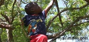 A boy capture in tree catching bwanoni in Blantyre. -Photo credit NPL