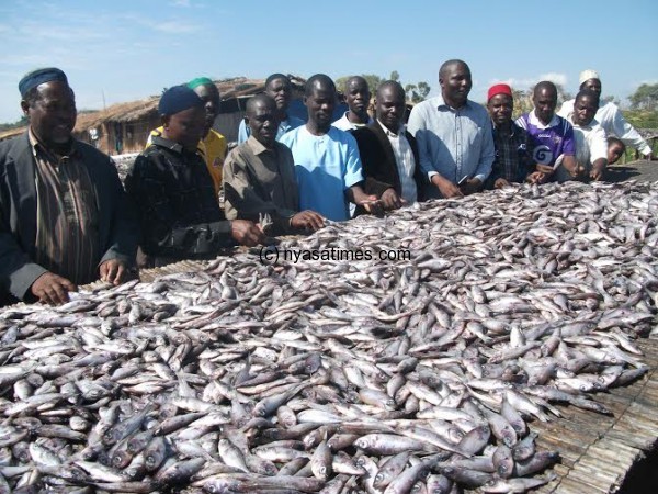 MP,Chambo (4 from R) with health officials appreciating fish.