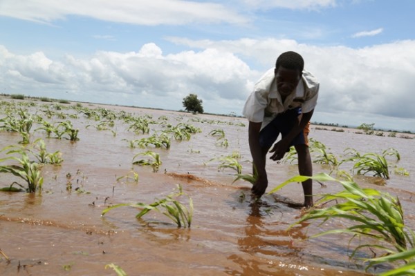 Maize crops washed away with floods.- Photo by Jeromy Kadewere