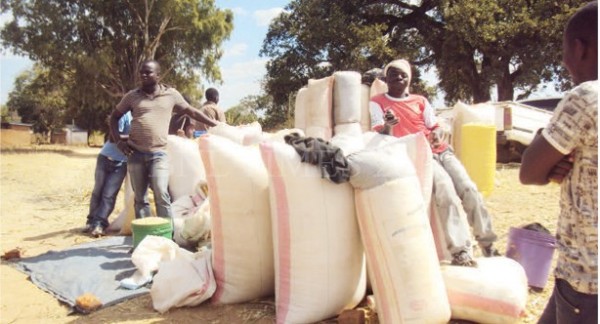 Malawi vendors hike grain prices as hunger bites