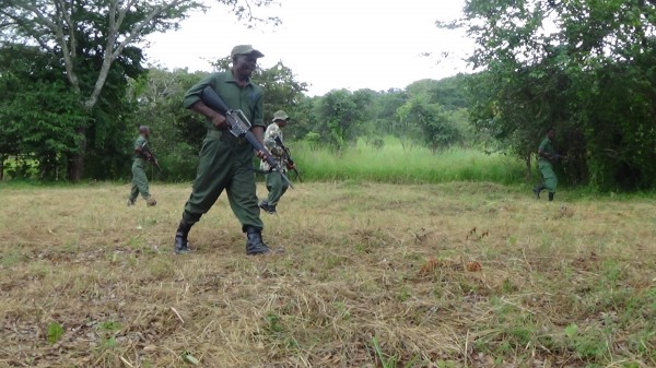 Malawian rangers in an anti-poaching operation