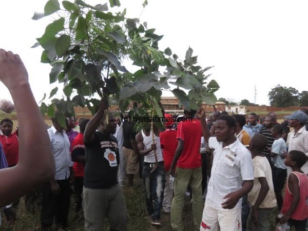 Masamba admirers carry leaves  as they escort the boxer to the ring