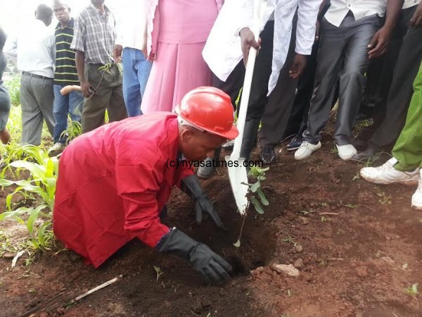 Mayor plants the first tree,-Photo by Annthony Kasunda