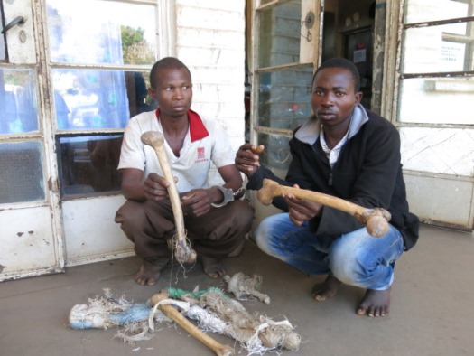 Mozambiquan nationals captured with human bones in Thyolo