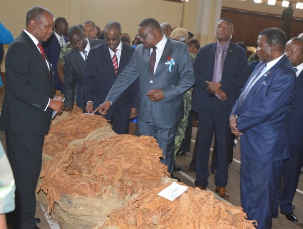 President Mutharika witness Tobacco Auctioning in Progress at Lilingwe Auction Floors to mark the official opening of 2016 Tobacco Marketing Season (C) Stanley Makuti