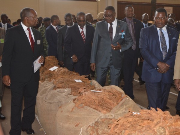 President Arthur Peter Mutharika witness Tobacco Auctioning in Progress at Lilingwe Auction Floors to mark the official opening of 2016 Tobacco Marketing Season (C) Stanley Makuti