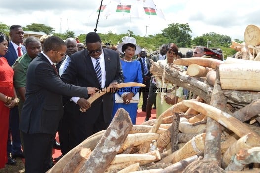 President Mutharika and the VP inspect Ivory heaped at the Parliament building - Pic by Stanley Makuti