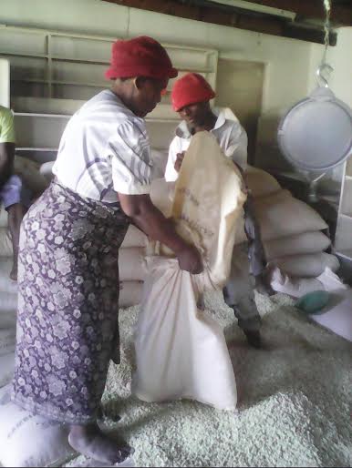 Rosebay Malunga buying maize at Manyowe ADMARC -Pic by Brian Wasili