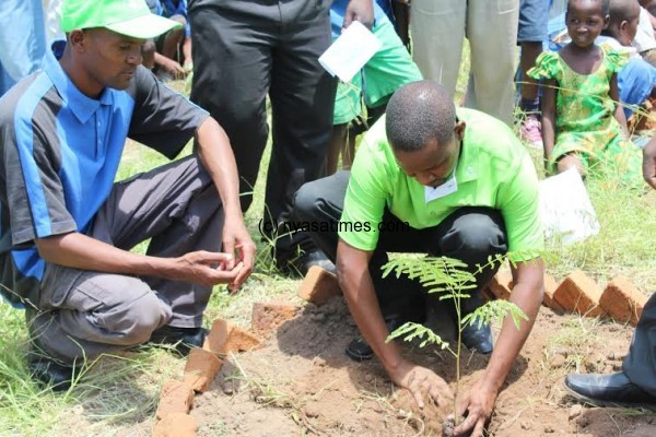 TNM head of region south Francis Mwamadi in grren golf shirt planting tree.
