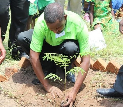 Mwamadi in grren golf shirt planting tree.