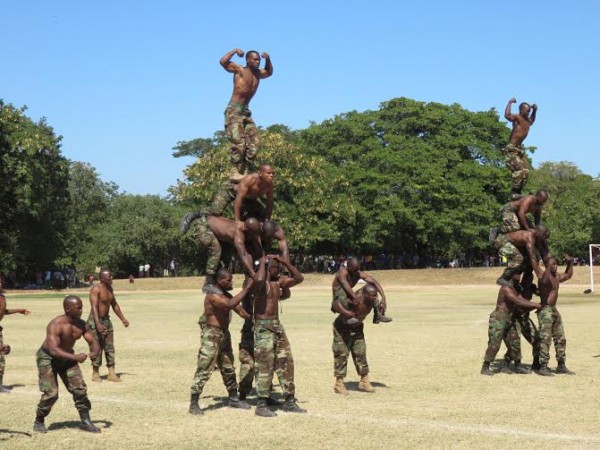 The soldiers display martial arts