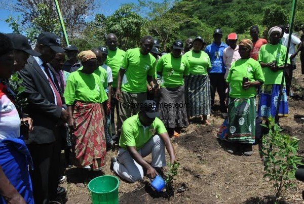 TNM’s reforestation initiative