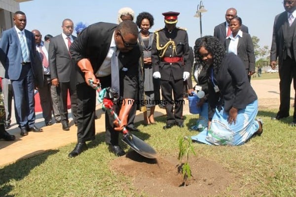 President Mutharika plants a tree outisde parliament-pic by Lisa Vintulla.