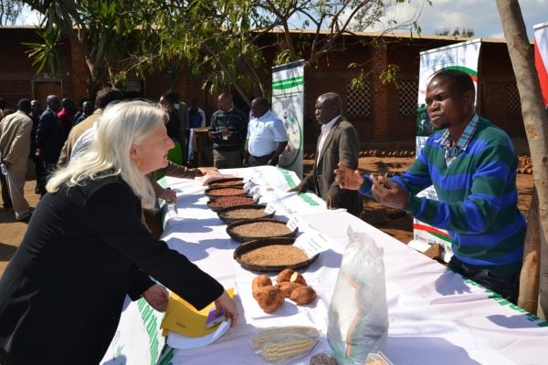 USAID Chief Party Marie Cadrin listens attentively from local farmer at TA Kalumbu in Lilongwe-(c) Abel Ikiloni, mana