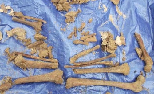 Human bones were discovered behind Ntaja Police Station