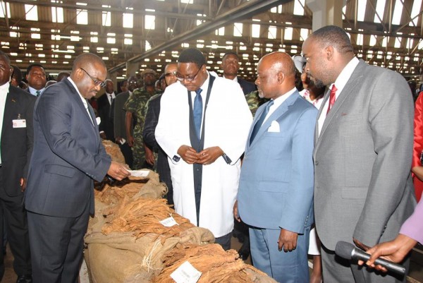 President Mutharika inspecting the leaf when he launched Malawi tobaccom market this month
