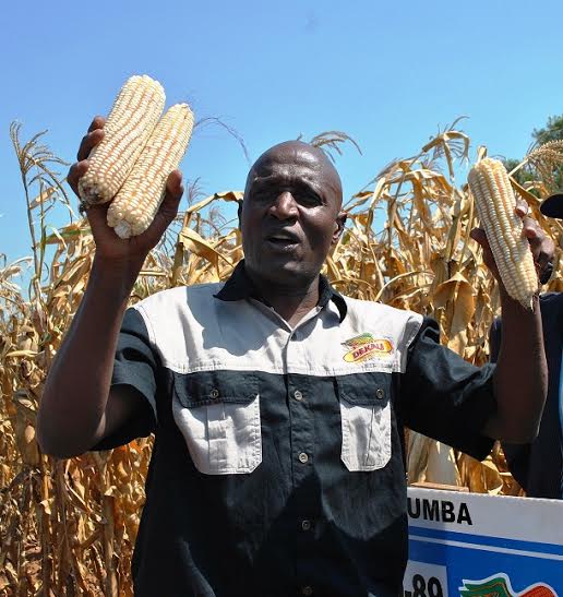 Dennis Kachikho showing monsanto seeds....Photo Jeromy Kadewere