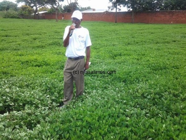 Seed multiplication farmer Mr M'baya in his groundnuts field