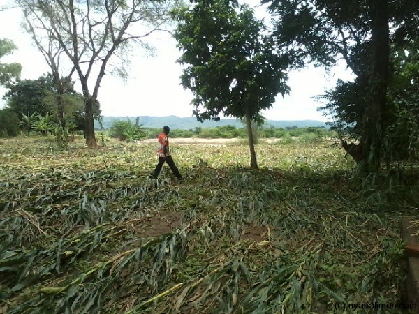 Floods destroy crops in Karonga