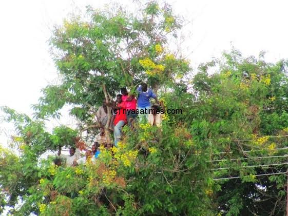 Some spectators risked their lives to watch the game from a tree....Photo Jeromy Kadewere