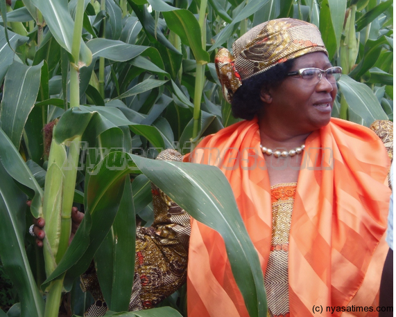 President Dr.Joyce Banda admires a maize garden during her Crop inspection tour in Blantyre on monday.Picture by Francis Mphweya/Mana