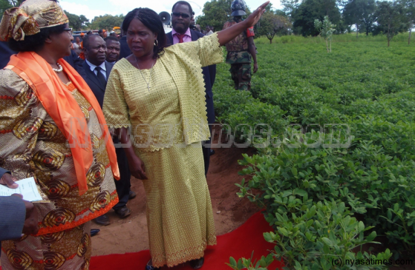 A Farmer briefing the state President Dr.Joyce Banda on her groundnuts garden during the crop inspection tour in Blantyre.-Photo by Franci Mphweya/Mana