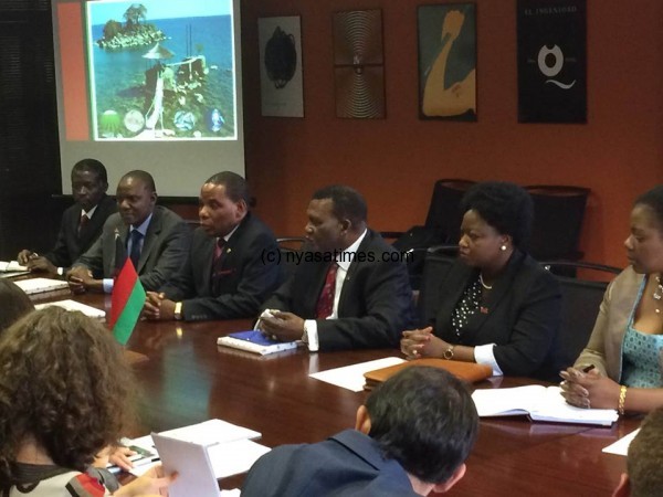 Malawi ministerial delegation and officials discussing with Spain investors