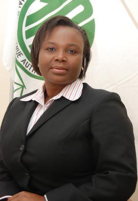 Mbilizi: buyers should demanding a tax invoice or fiscal receipt