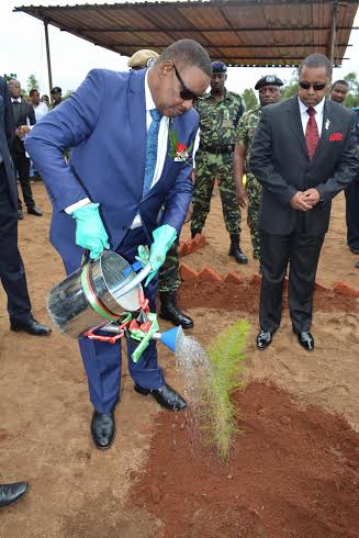 President Mutharika watering the tree he had planted