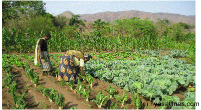 Beneficiaries of Kayelekera community support and agricultural training