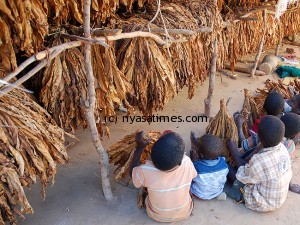child labour tobacco