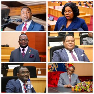 One year on, Mutharika wins praise for stability – but Malawi's ministers lag behind